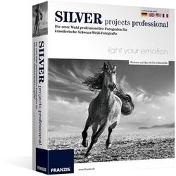 Silver projects professional