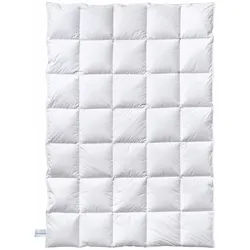 billerbeck Daunendecke POLARSTERN - B/L ca. 135,00x200,00