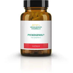 Pycnogenol 120 ST