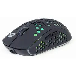 Ragnar WRX500 Wireless - Gaming Maus (Schwarz mit RGB)