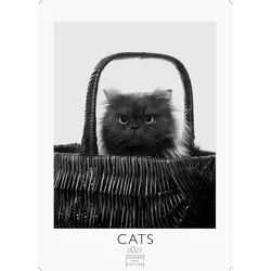 Wandkalender Cats schwarz-weiss Kalender 2027 – Wandkalender, Fotokalender Tierkal weiß