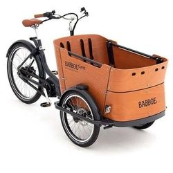 Babboe Curve Mountain Grau Modell 2024