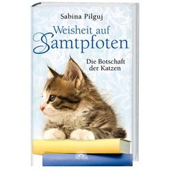 Weisheit auf Samtpfoten Buch 1 St