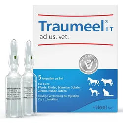 Traumeel Lt Ampullen veterinär