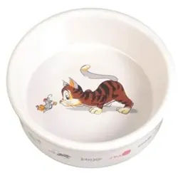 Ceramic Bowl Ø11