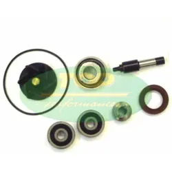 TOP PERFORMANCES Wasserpumpen-Reparatursatz