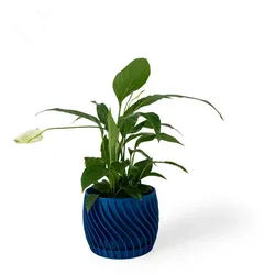 Shapes - Decorations Blumentopf The Plant Pot - Blumentopf mit integriertem Unterteller (Einzelmodell, 1 x Blumentopf mit integriertem Untersetzer), Spiraloptik blau Ø 15 cm