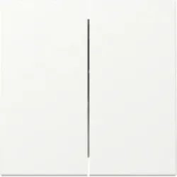 Gira 329527 Wippe 2-fach System 55 Reinweiß seidenmatt