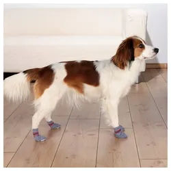TRIXIE Pfotenschutz Hundesocken, Anti-Rutsch Größe: XS-S für z. B.: Dackel