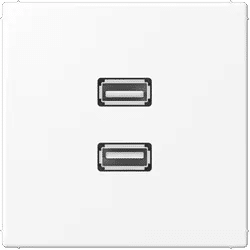 Jung MALS1153WWM 2 x USB 2.0, Thermoplast lackiert, Serie LS, schneeweiß matt