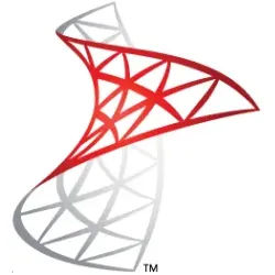 Microsoft SQL Server 2008 Standard | 1 User CAL | Blitzversand
