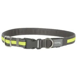 Beleuchtetes Halsband KERBL Light & Reflex, 45 - 65 cm x 25 mm, gelb