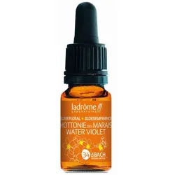 Ladrôme Sumpfdotterblume Nr. 34