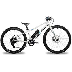ben-e-bike TWENTYFOUR-SIX E-Power 2024