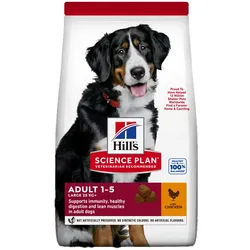 Hill's Science Plan Large Breed Adult Hundefutter mit Huhn