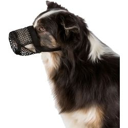 Giftköder Schutznetz für Hunde M-L Mundschutz 1 St
