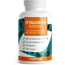 ProFuel - Hyaluron Kapseln 500 mg Hyaluronsäure pro Tag 120 St