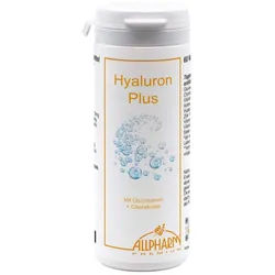 Glucosamin Chondroitin Hyaluron Plus Kapseln 60 St 60 St Kapseln