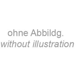 Original Heine Beta Batteriegriff - Typ X-001.99.118