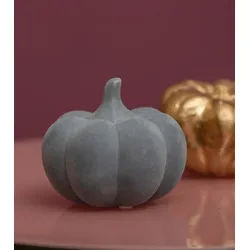 Kürbis Koba flach grau 10,5cm