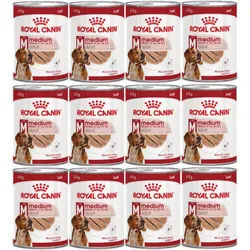 ROYAL CANIN® Medium Adult 12x410g Nassfutter, Pastete für ausgewachsene Hunde mittlerer Rassen