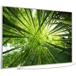 STEINFELD Heizsysteme Infrarotheizung Bild 900W, 120x74cm, Made in Germany, 7J Garantie, mit Thermostat, viele Motive silberfarben