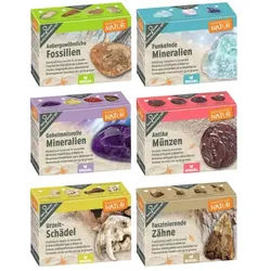 Moses Expedition Natur Mini-Ausgrabungssets, sortiert