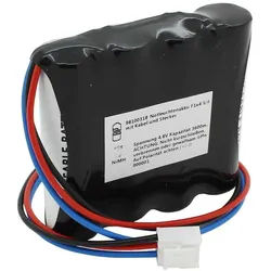 Notleuchtenakku NiMH 4,8V 3600mAh F1x4 5/4A mit Kabel und Stecker