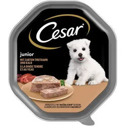 CESAR Junior Schale 150 g – Alleinfuttermittel für Welpen, mit Truthahn und Kalbfleisch, in Pastete