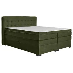 Boxspringbett Madeira in Grün ca. 200x200cm