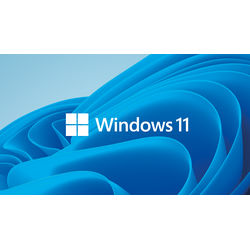 WIN11 PRO DE - Software, Windows 11 Pro, deutsch