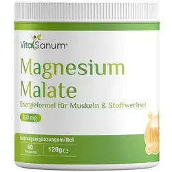 VitaSanum® - Magnesium Malat Pulver 150 g