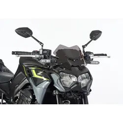 ERMAX Naked-Bike-Scheibe Acrylic (PMMA)