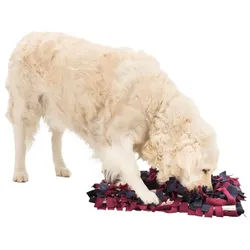 Dog Activity Sniffing Carpet Strategy Game 50x34cm