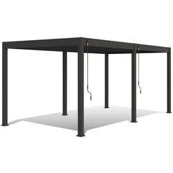 Weide Pergola , Metall , 600x255x300 cm , Gartenmöbel, Loungemöbel