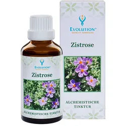 Evolution Zistrose Tinktur Flüssigkeit 50 ml