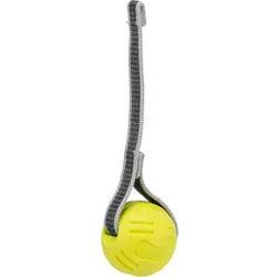 Hundespielzeug Ball an einem Band
