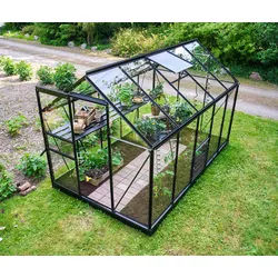 Halls Gewächshaus Popular SET - 3.19 x 1.93 m - 6.2 m2 (Gr. 3) 3 mm Sicherheitsglas schwarz