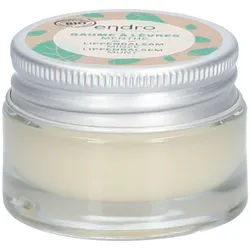 Endro Lippenbalsam Minze