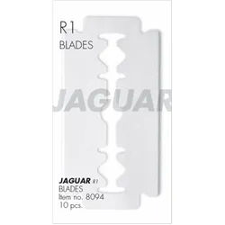 Jaguar Klingen R1 / R1 M