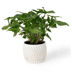 Shapes - Decorations Blumentopf The Plant Pot - Blumentopf mit integriertem Unterteller (Einzelmodell, 1 x Blumentopf mit integriertem Untersetzer), Spiraloptik weiß Ø 15 cm