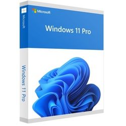 Microsoft Windows 11 Professional