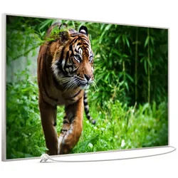 STEINFELD Heizsysteme Infrarotheizung Bild 900W, 120x74cm, Made in Germany, 7J Garantie, mit Thermostat, viele Motive silberfarben