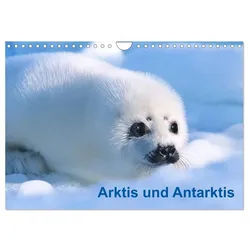 CALVENDO Wandkalender Arktis und Antarktis (Wandkalender 2026 DIN A4 quer), CALVENDO...