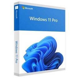 Microsoft Windows 11 Professional