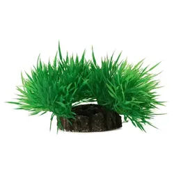 Decorative plant 7cm