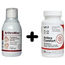 Arthromax 250ml + LAB-V Arthro Comfort 45 Kapseln