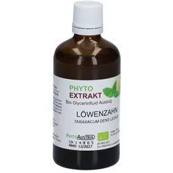 Löwenzahn Tinktur Bio Phyto Extrakt