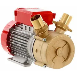 Rover 50 BE-M - Elektropumpe aus Bronze