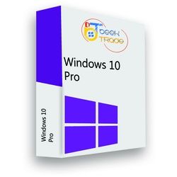 A Microsoft Windows 10 Professional